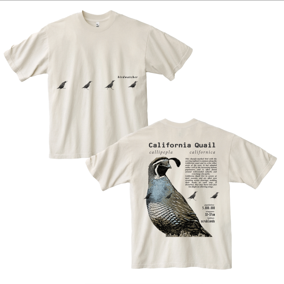California Quail
