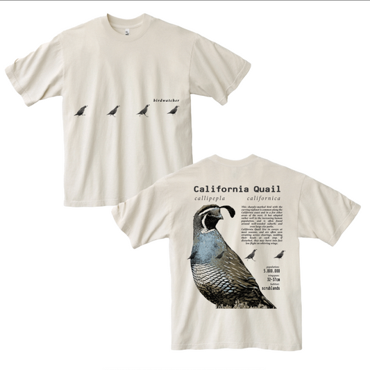 California Quail